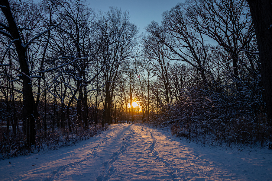 winter at Churchill Woods