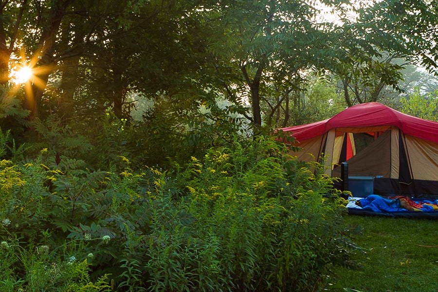 tent at the Blackwell Family Campground