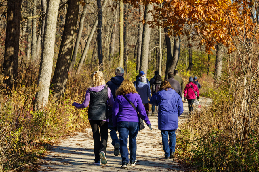 friends-forest-tour-hikers-900-600