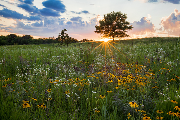 friends-prairie-sunset-600-400-72-shutterstock-purchase