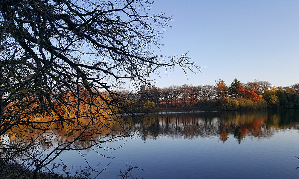 Mayslake-scenic-lake