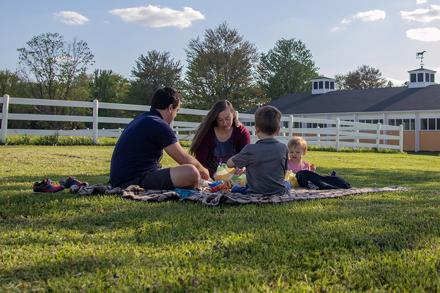 family picnicking on the grass