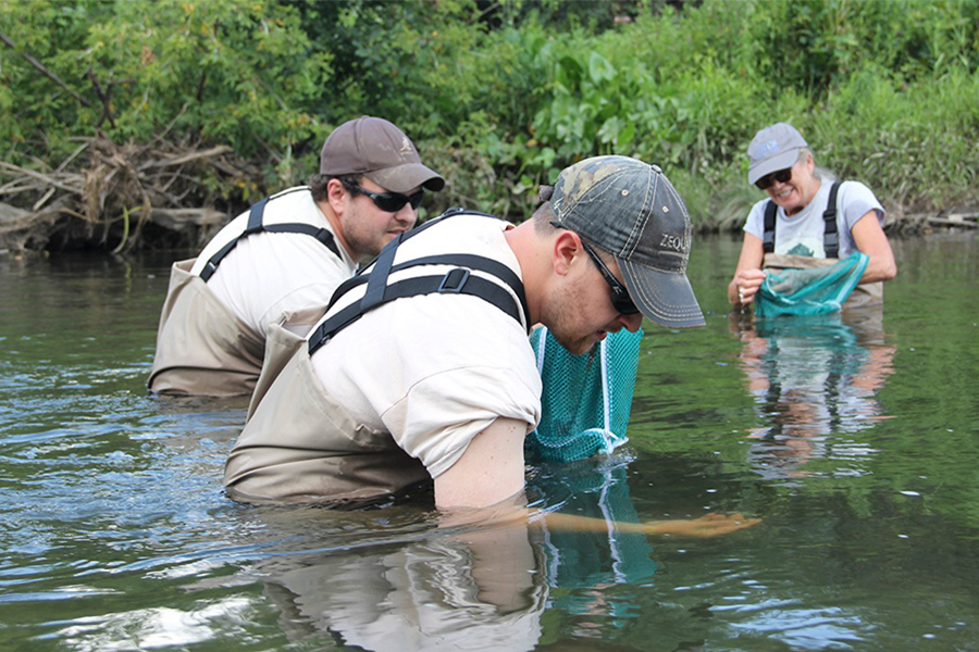 releasing-mussels-use-this-one