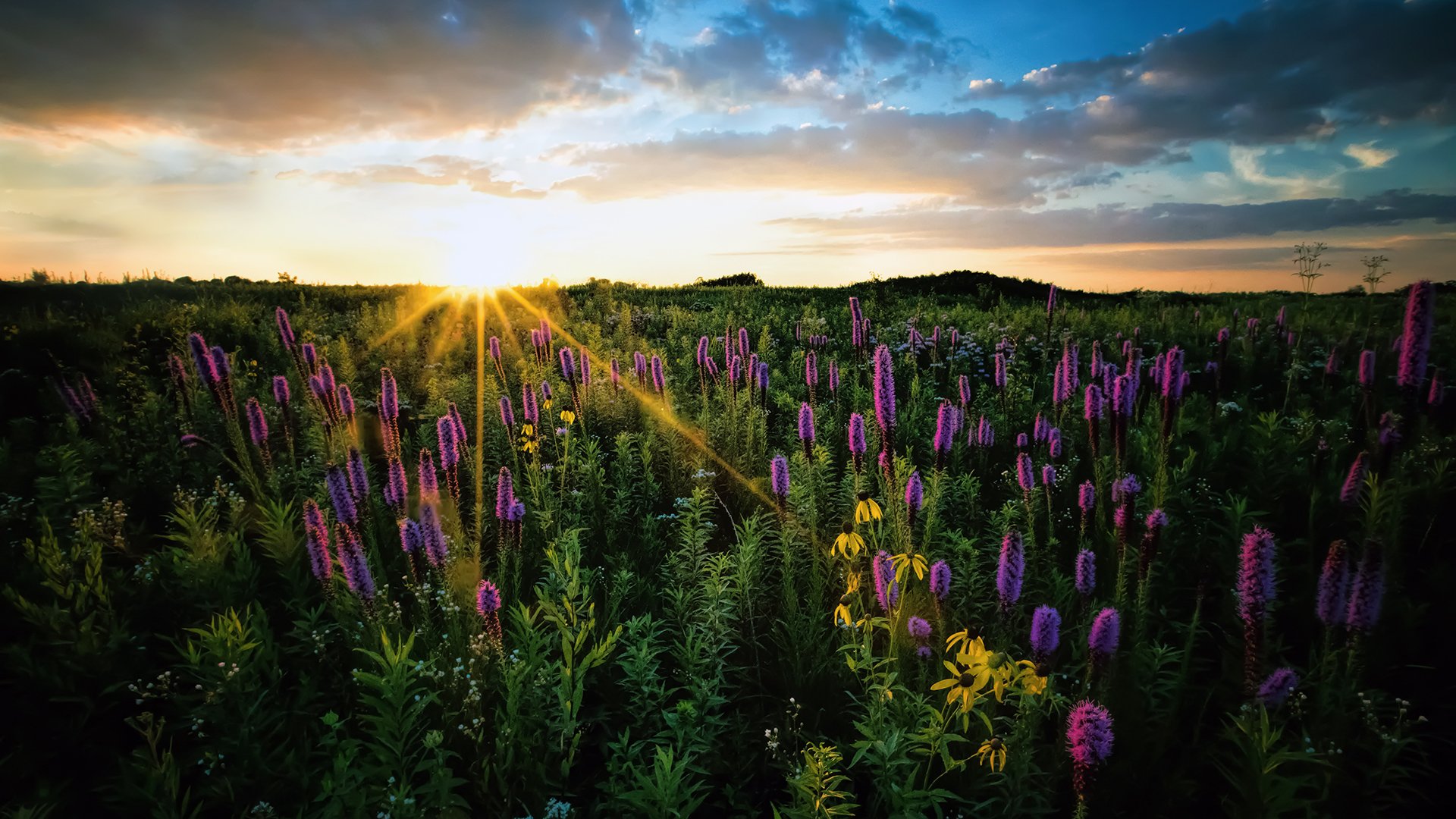 Springbrook-Prairie-prairie-1920x1080